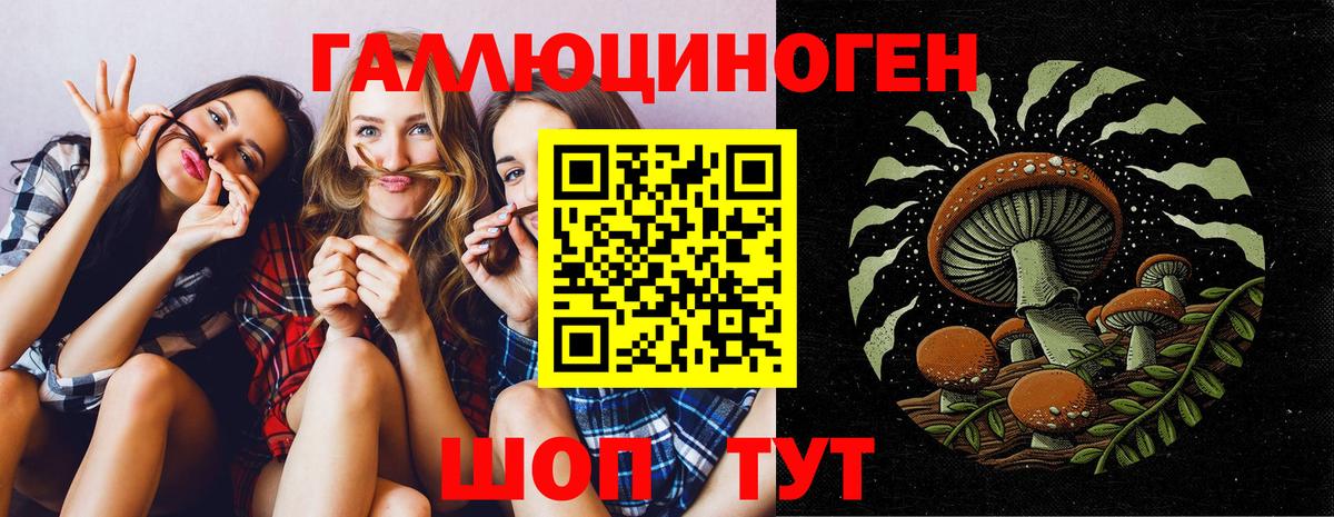 Псилоцибиновые грибы Psilocybine cubensis  Вход с VPN  закладка  Аргун  Псилоцибиновые грибы мицелий 